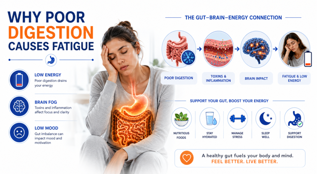 Digestion